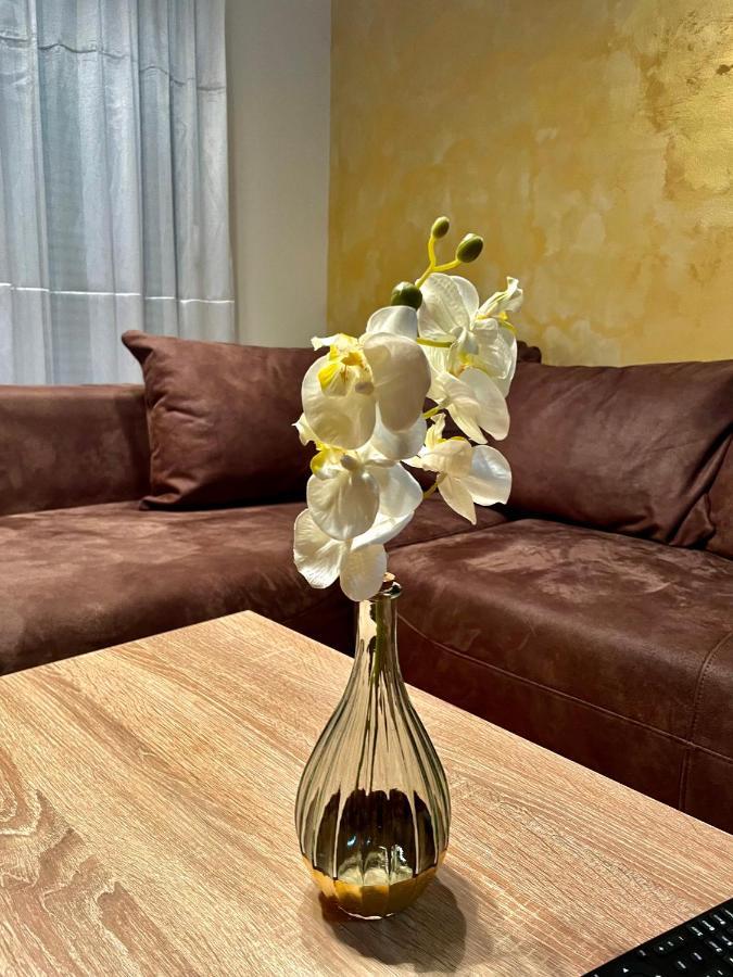 ポドゴリツァNaki Apartmanアパートメント エクステリア 写真